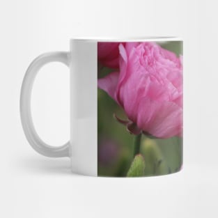 Closeup Deep Peony Pink Ranunculus Mug